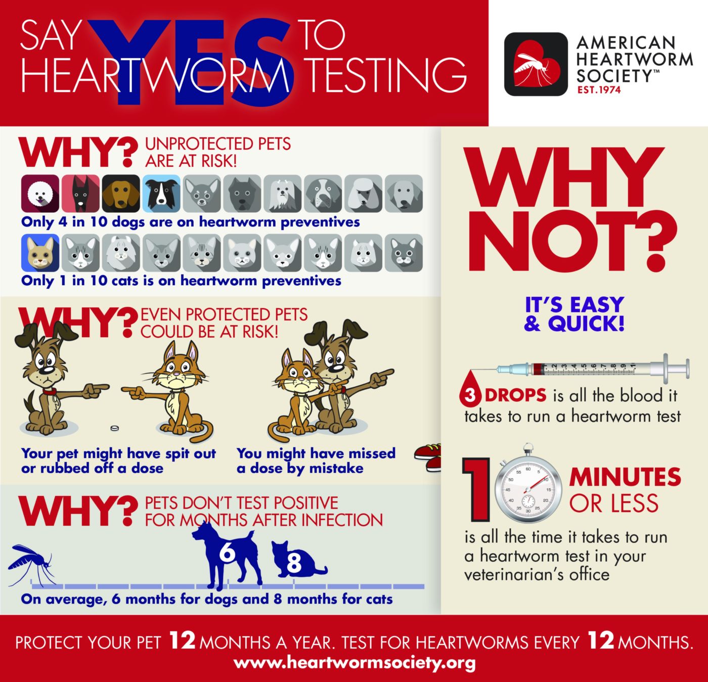 heartworm treatment