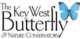 https://fkspca.org/wp-content/uploads/2022/03/KW-Butterfly.jpg