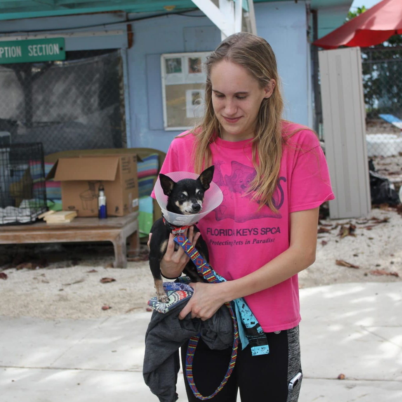 High School Volunteer Program | Florida Keys SPCA